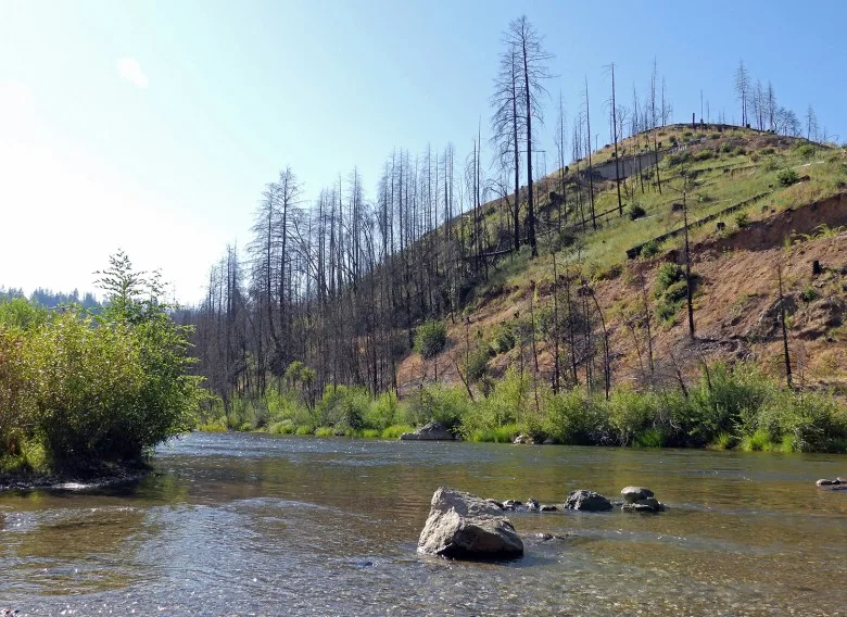 The Bear River flows through the recovering burn scar. 