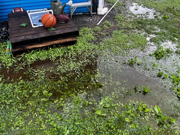 Water damage from flooding at Resident Nikeda Parkes' home.