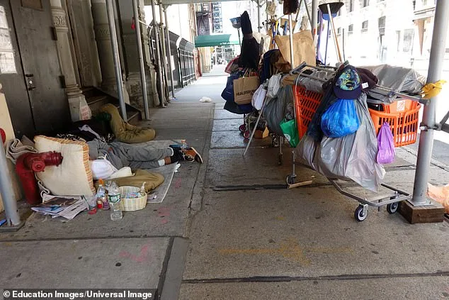 The homeless population now sits at a staggering 100,000  in a city where 'progressive' experts persuaded politicians the mentally ill are better off outside hospitals than in them