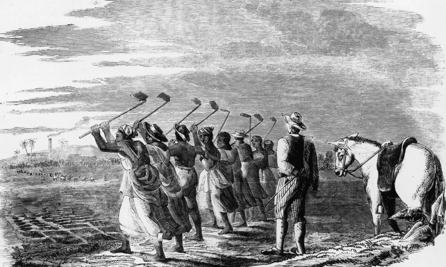 Native workers 'cane hoeling' on a sugar plantation in the West Indies, 1849.