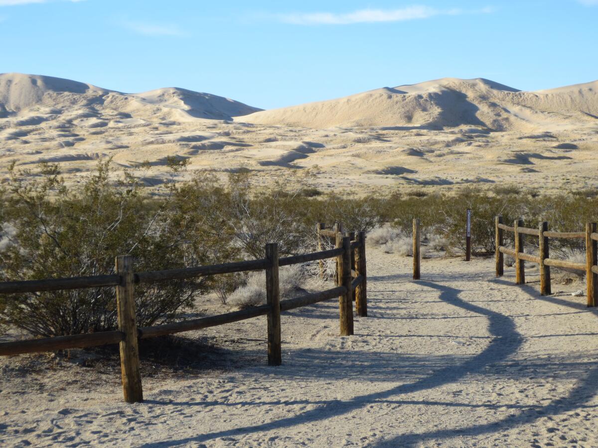 Kelso Dunes, photographed in 2013.