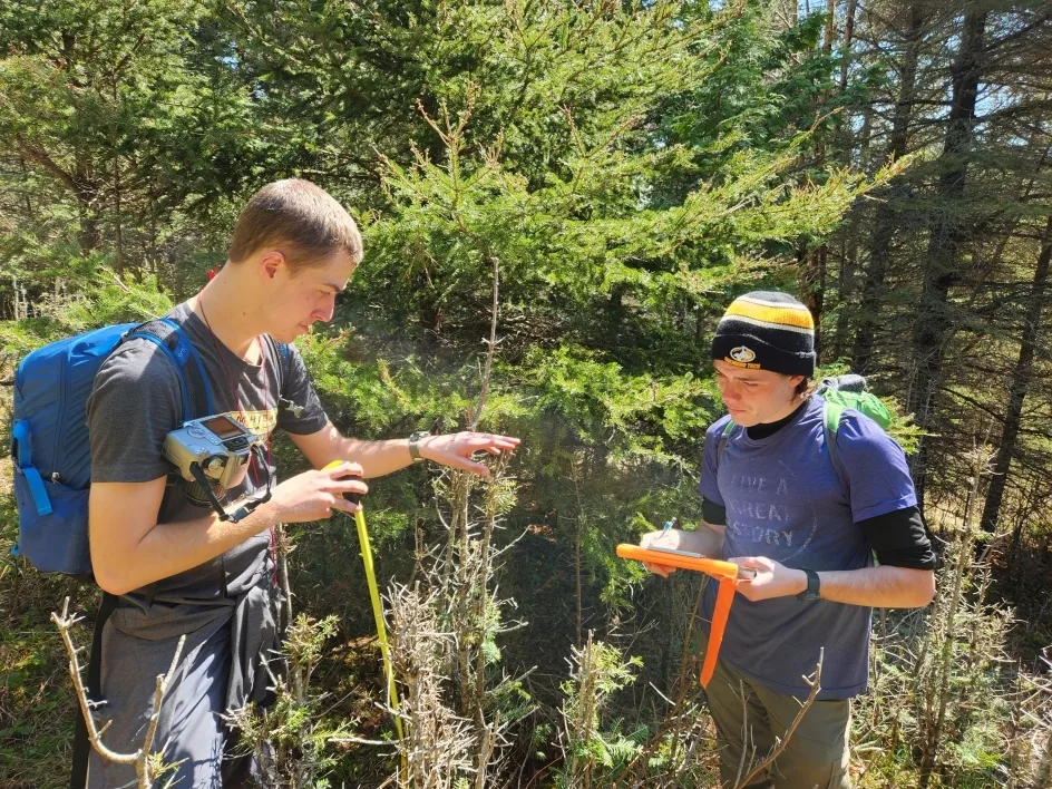 Two students holding measuring equipment up to foliage.