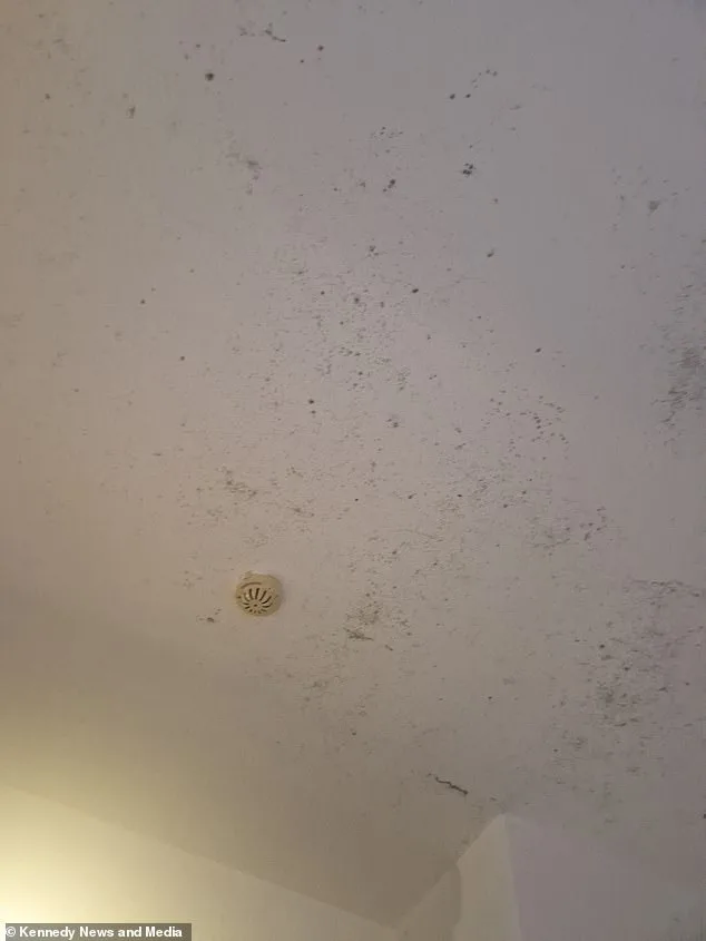 The ceiling in the hotel room was covered in mould spores, Ms Mcquillan said