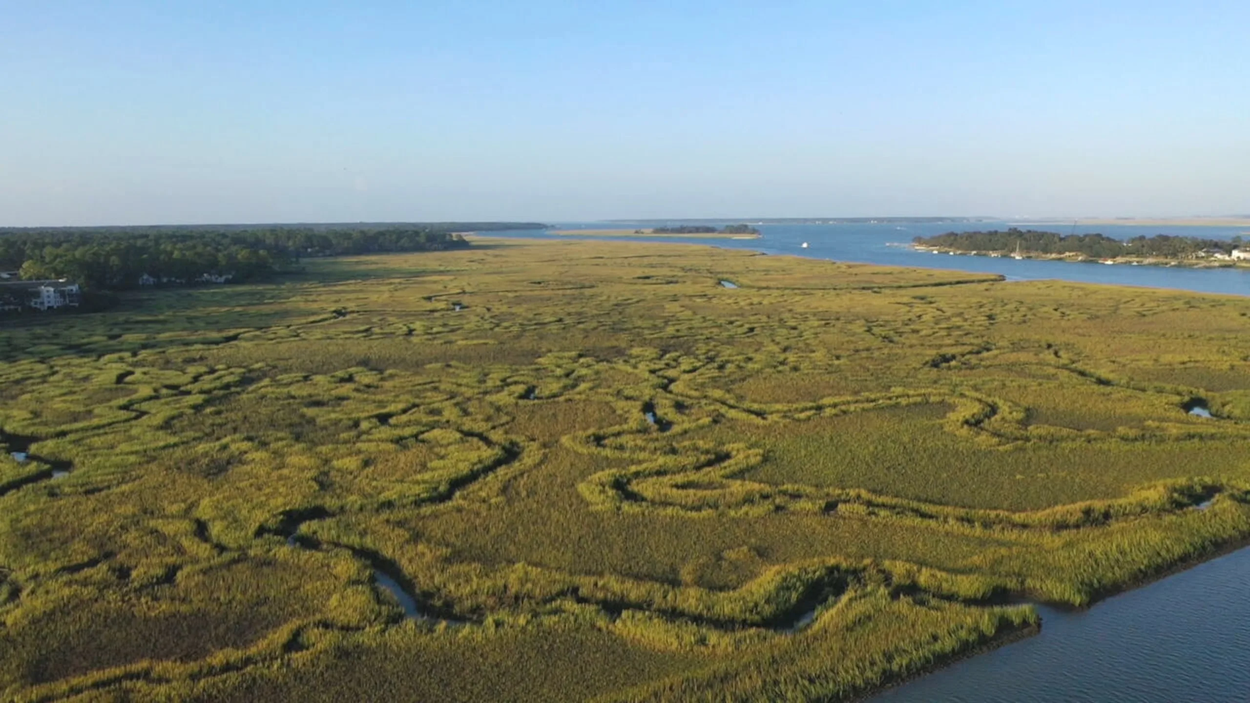 PHOTO: Hilton Head Island in South Carolina is considered sacred land to the native Gullah community which has dwindled in size in recent years due to development and gentrification.