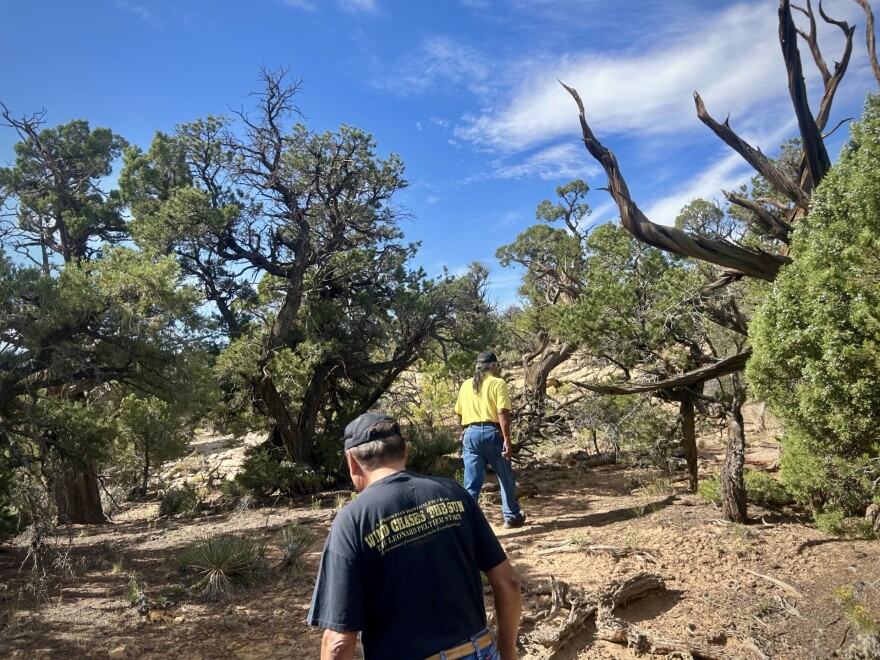 Eugene Badonie, manager of the Chilchinbeto Chapter House, and another resident walk through a juniper forest at the rim of Black Mesa on Sept. 1, 2023. Some nearby residents support the hydropower projects and say they could provide much-needed jobs and improve infrastructure in the area.