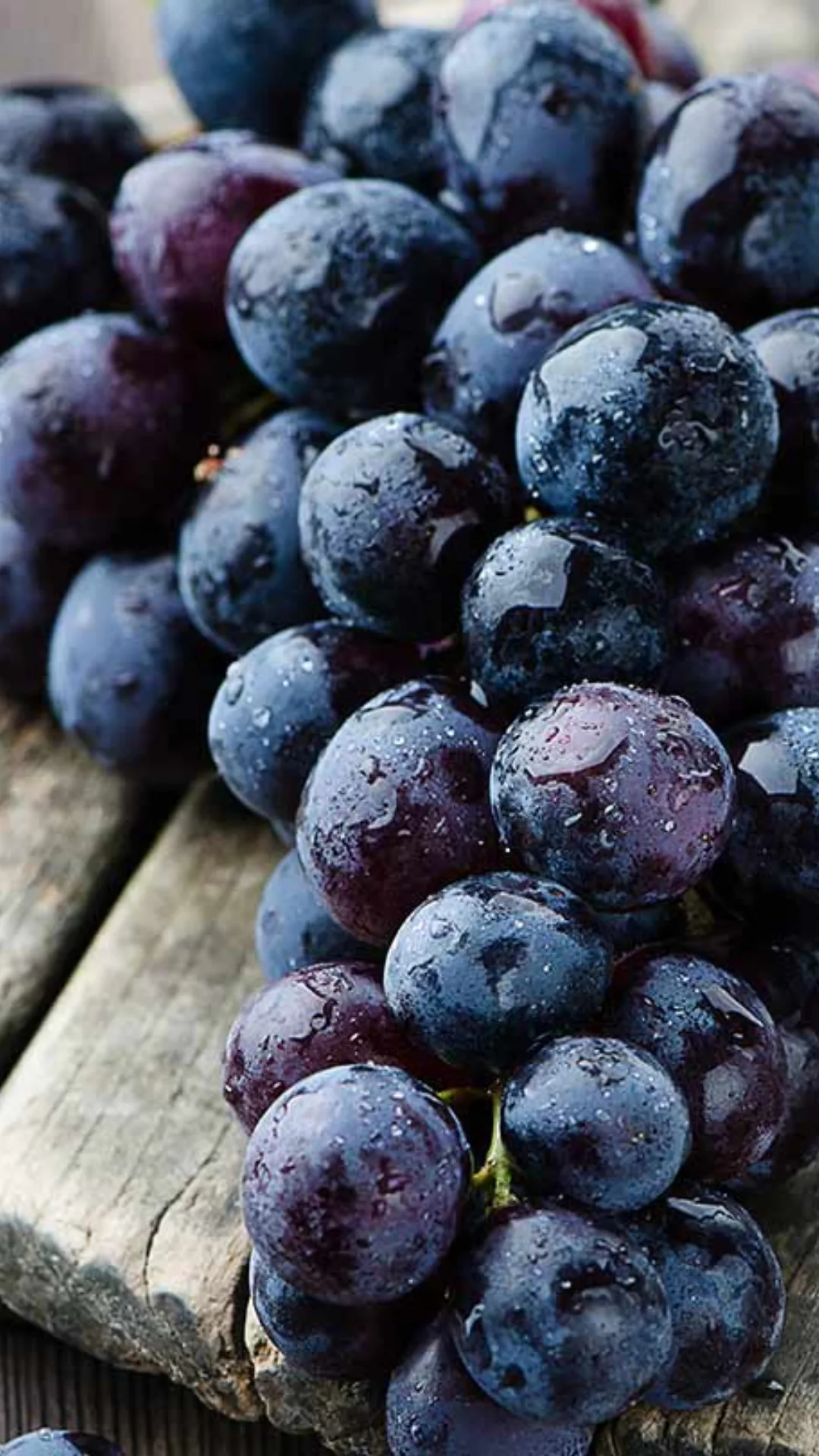 Heart Health Boost: Resveratrol in black grapes supports heart health by improving circulation and reducing inflammation.