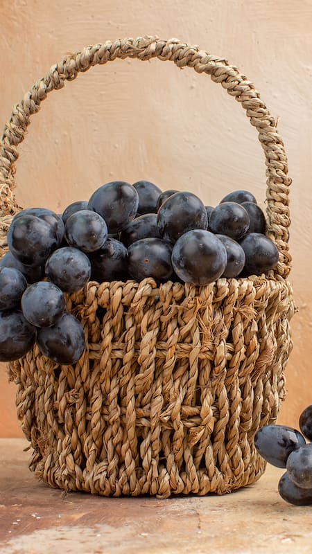 Black grapes are often found  during the winter months in northern India.