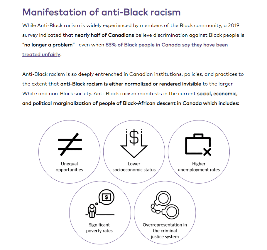 Screen capture from Introduction to Anti-Black Racism module.