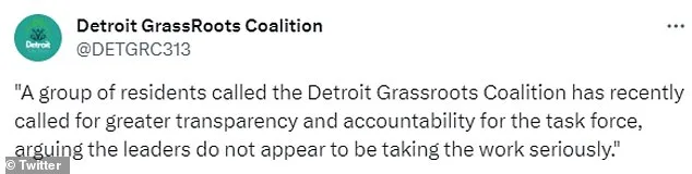 Observers of Detroit's task force have since been unsparing in their criticism