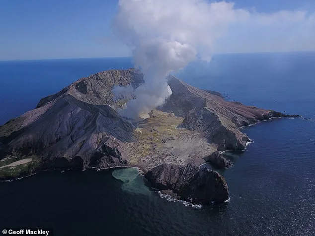 The 2019 eruption on White Island off the NZ coast killed 22 people while others were badly burnt