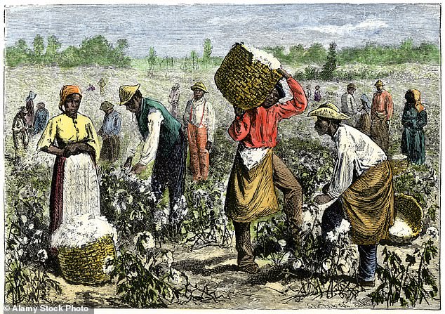 A woodcut of African-American slaves picking cotton in the South