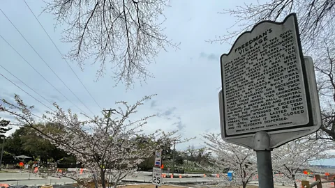 Barbara Noe Kennedy Other than a nearby plaque, little remains of Arlington's former Freedman's Village today (Credit: Barbara Noe Kennedy)