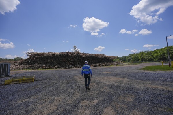 An employee walks toward a pile of lumber to be used during a tour of a Drax facility in Gloster, Miss., Monday, May 20, 2024. Wood pellet production skyrocketed across the U.S. South to feed the European Union's push this past decade for renewable energy to replace fossil fuels like coal. (AP Photo/Gerald Herbert)