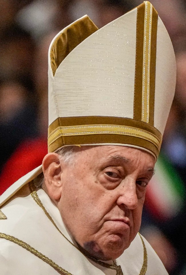 Pope Francis was pictured with a large bruise on his face