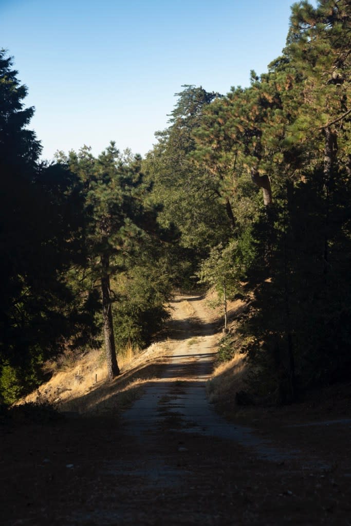 The single road accessing Jacques and Angeletta's property. October 15, 2024.