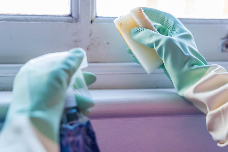 Woman's hands cleaning mould off a wooden window frame with a sponge and detergent